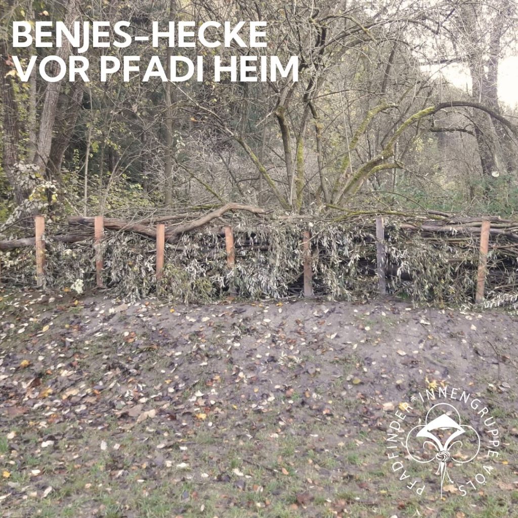 GuSp-Benjeshecke - 1 GuSp-Benjeshecke – 1